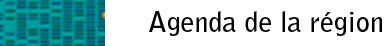 Agenda